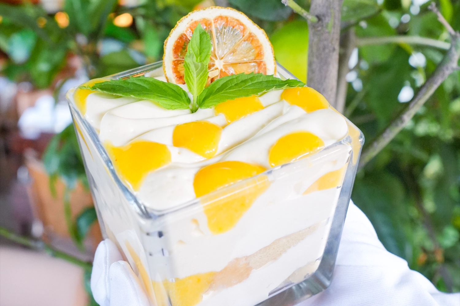 Limoncello Tiramisu